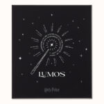 moleskine harry poter